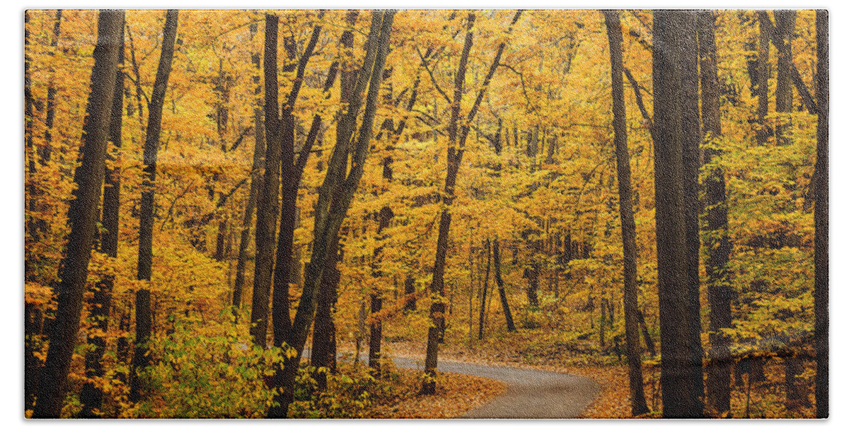 Illinois Bath Towel featuring the photograph Winding Road of Yellow Trees by Joni Eskridge