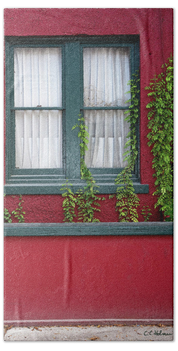 Window Bath Towel featuring the photograph Window and VInes by Christopher Holmes