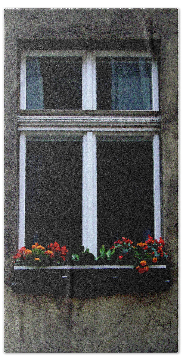 Vienna Hand Towel featuring the photograph Window at Lange Gasse, Vienna by Iqbal Misentropy
