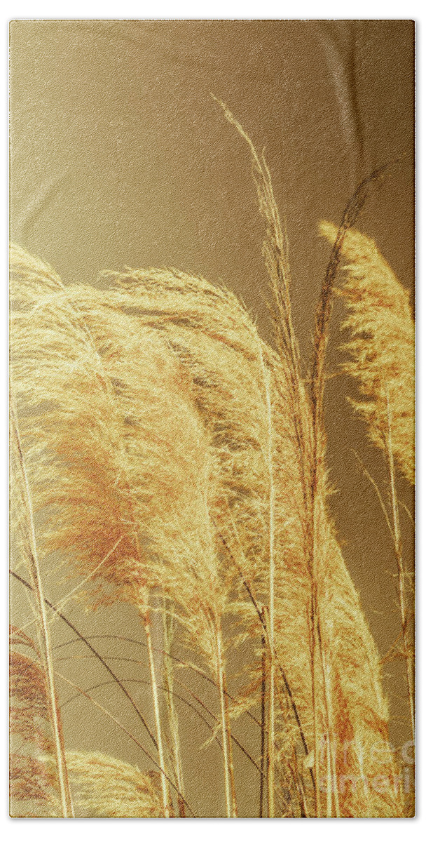 Dry Bath Towel featuring the photograph Windswept autumn brush grass by Jorgo Photography