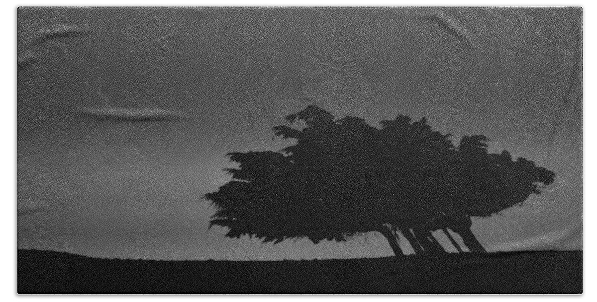 Monochrome Hand Towel featuring the photograph Windswept Tree Grove - Monterey, California by Mariecor Agravante