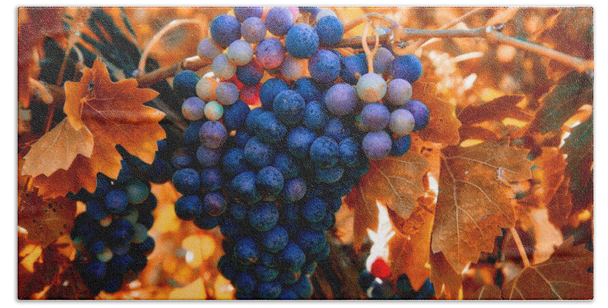Wine Grapes Of Many Colors Bath Towel featuring the photograph Wine grapes of many colors by Lynn Hopwood