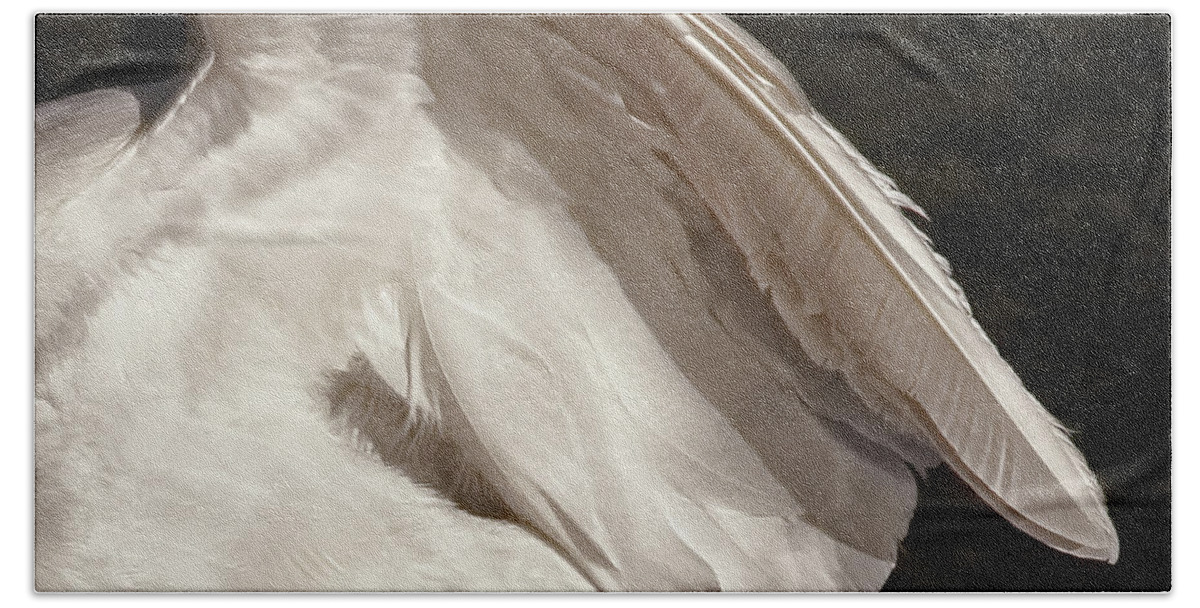 Wing Bath Towel featuring the photograph Wing of an Egret by Jennie Marie Schell