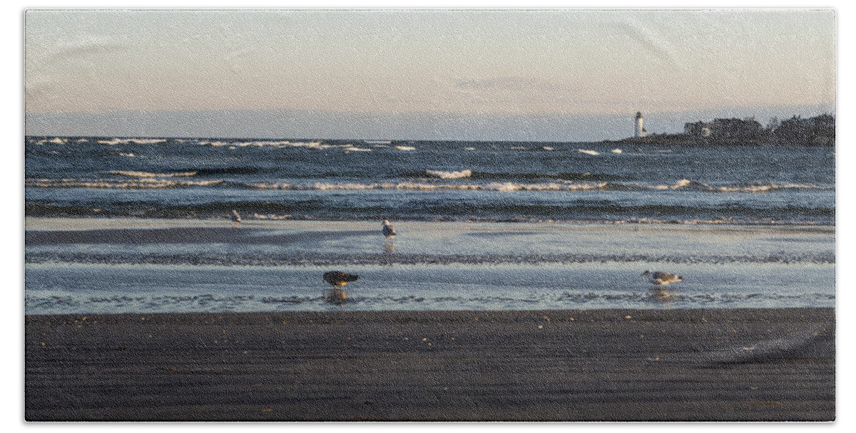 Wingaersheek Hand Towel featuring the photograph Wingaersheek Beach Seagulls at Sunrise by Toby McGuire