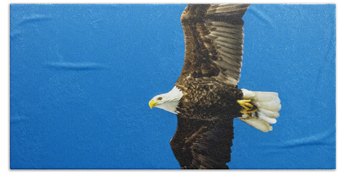 Eagle Bath Towel featuring the photograph Winging Home for Dinner by John Roach