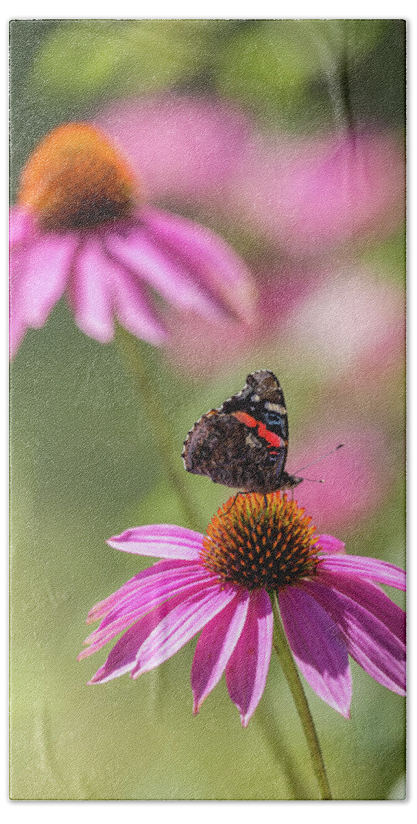 Butterfly Bath Towel featuring the photograph Wings and Petals by Penny Meyers