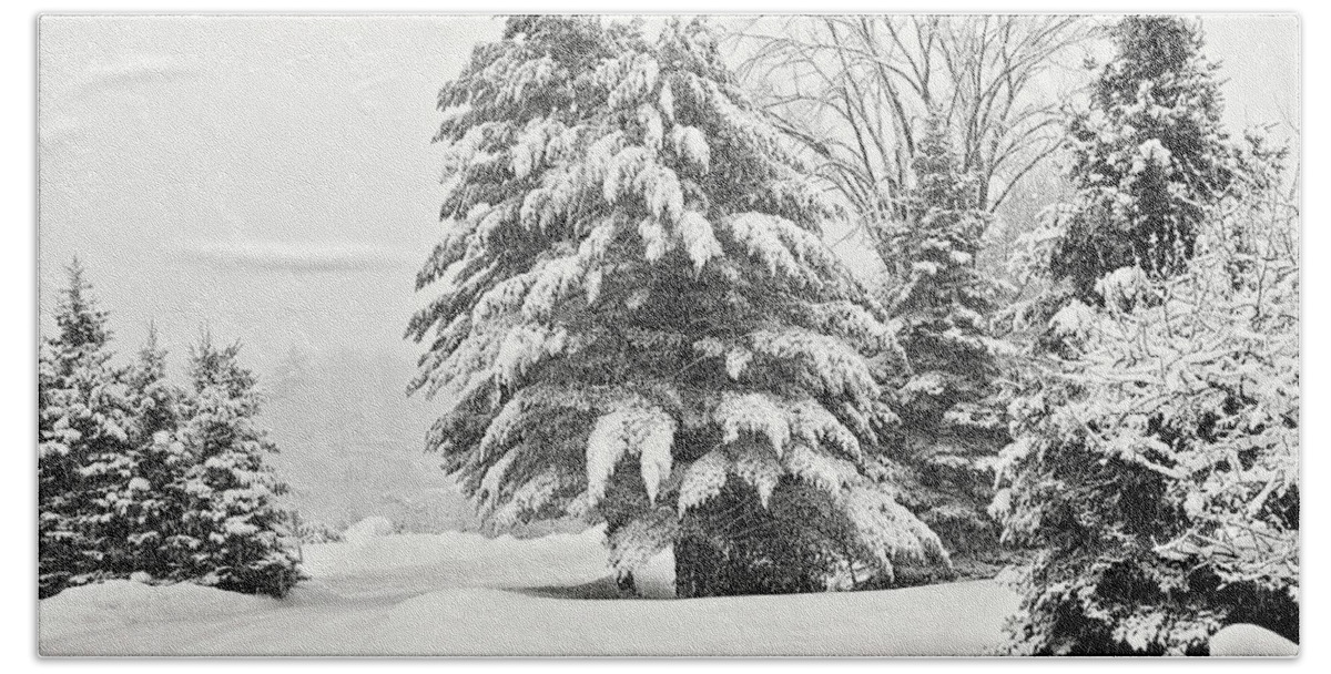 Winter Print Bath Towel featuring the photograph Winter Bliss Black and White Photo by Gwen Gibson