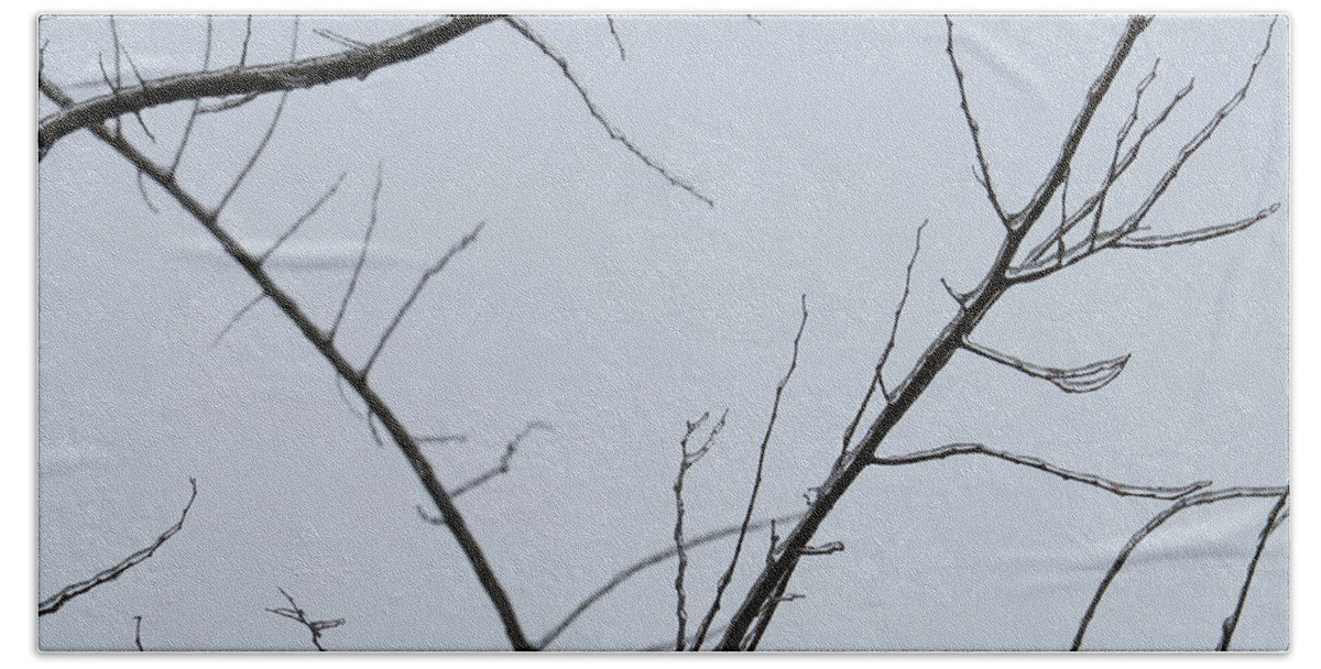 Branch Branches Tree Trees Twig Ice Winter Snow Cold Craig Walters Hand Towel featuring the photograph Winter Branches by Craig Walters