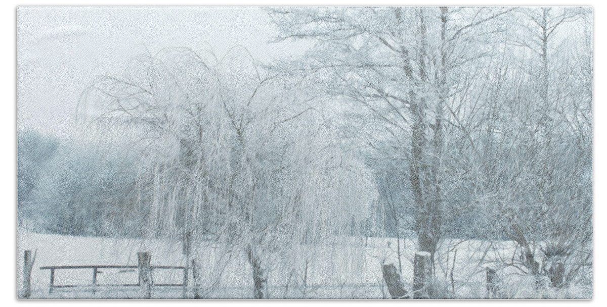 Photo Bath Sheet featuring the photograph Winter Chill by Jutta Maria Pusl