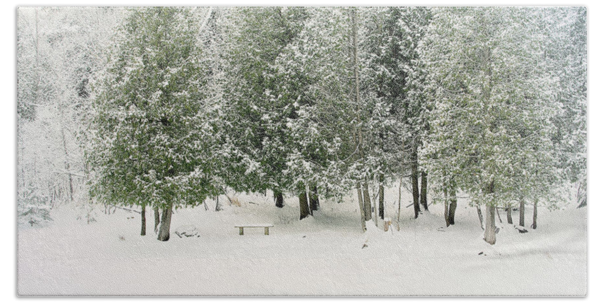 Winter Ice Storm Print Bath Towel featuring the photograph Winter Ice Storm Print by Gwen Gibson