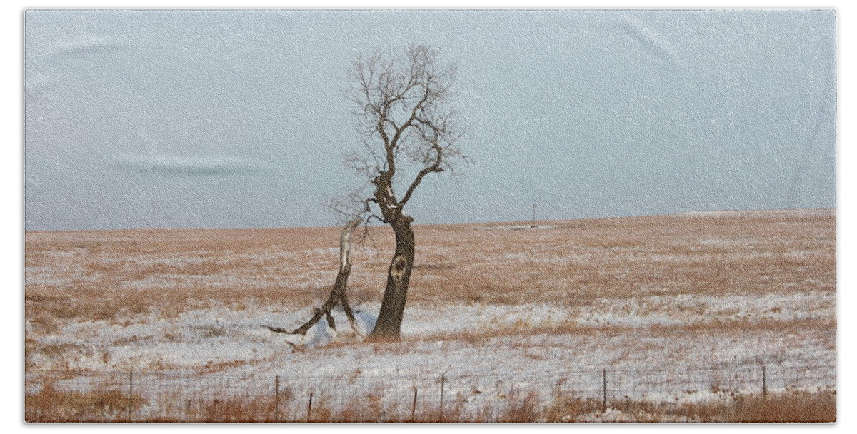 Winter Hand Towel featuring the photograph Winter in Kansas by John Moyer