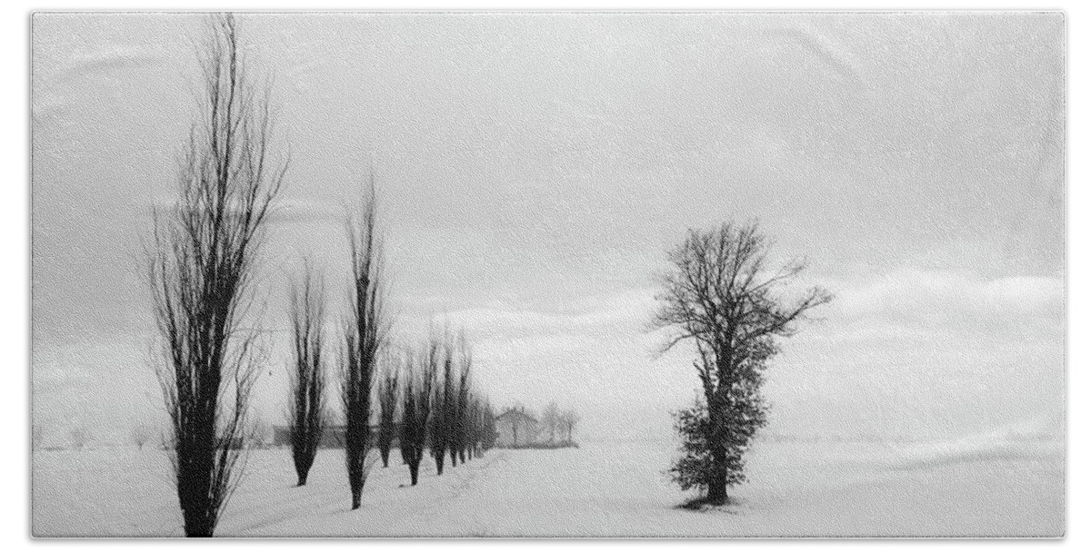 Winter Hand Towel featuring the photograph Winter landscape 3 by Livio Ferrari