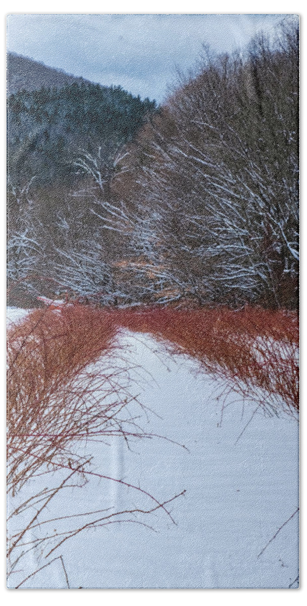 Vermont Winter Bath Towel featuring the photograph Winter Scene by Tom Singleton