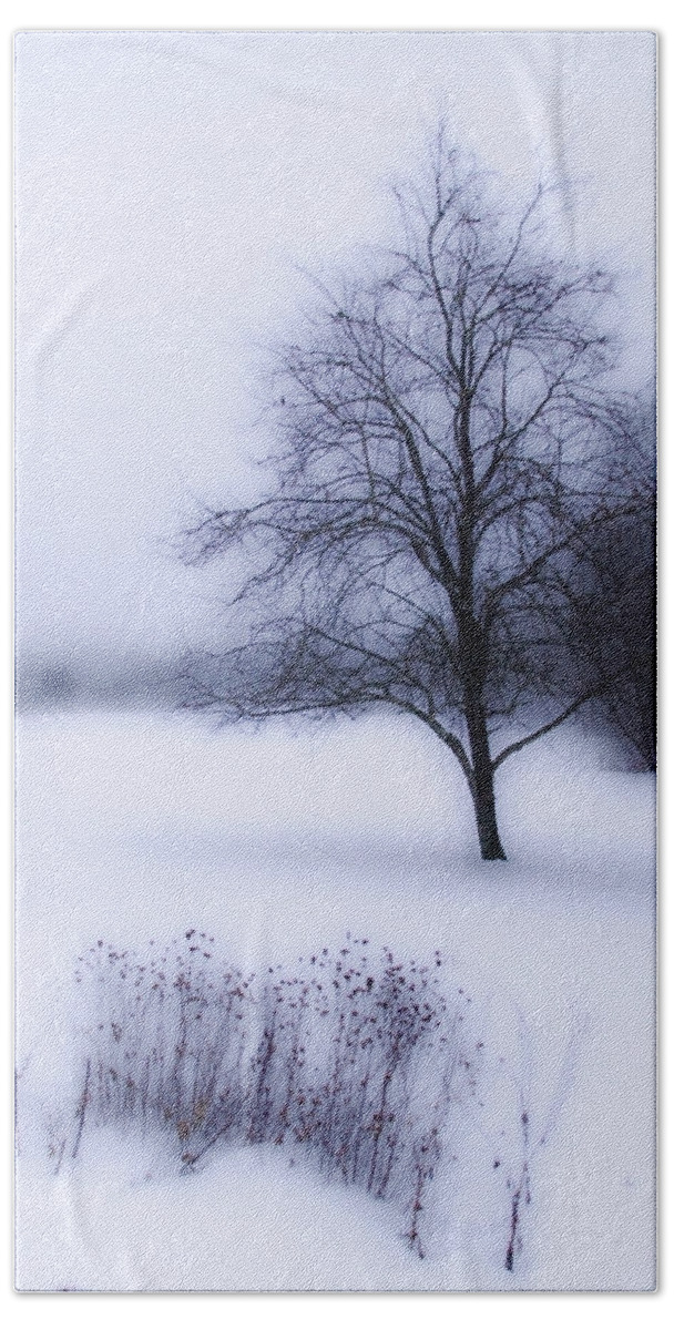 Vermont Bath Towel featuring the photograph Winter by Tammy Wetzel