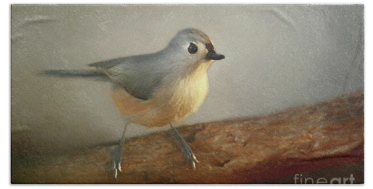 Texture Bath Towel featuring the photograph Winter Tufted Titmouse by Darren Fisher
