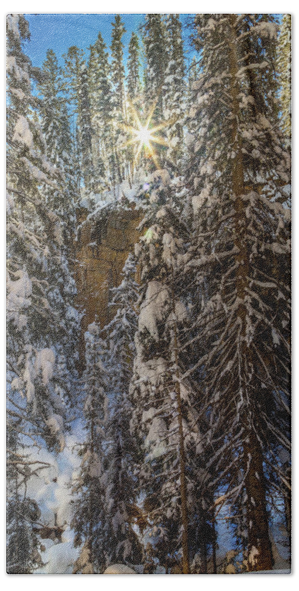 Snow Bath Sheet featuring the photograph Winter Wonderland by Jen Manganello