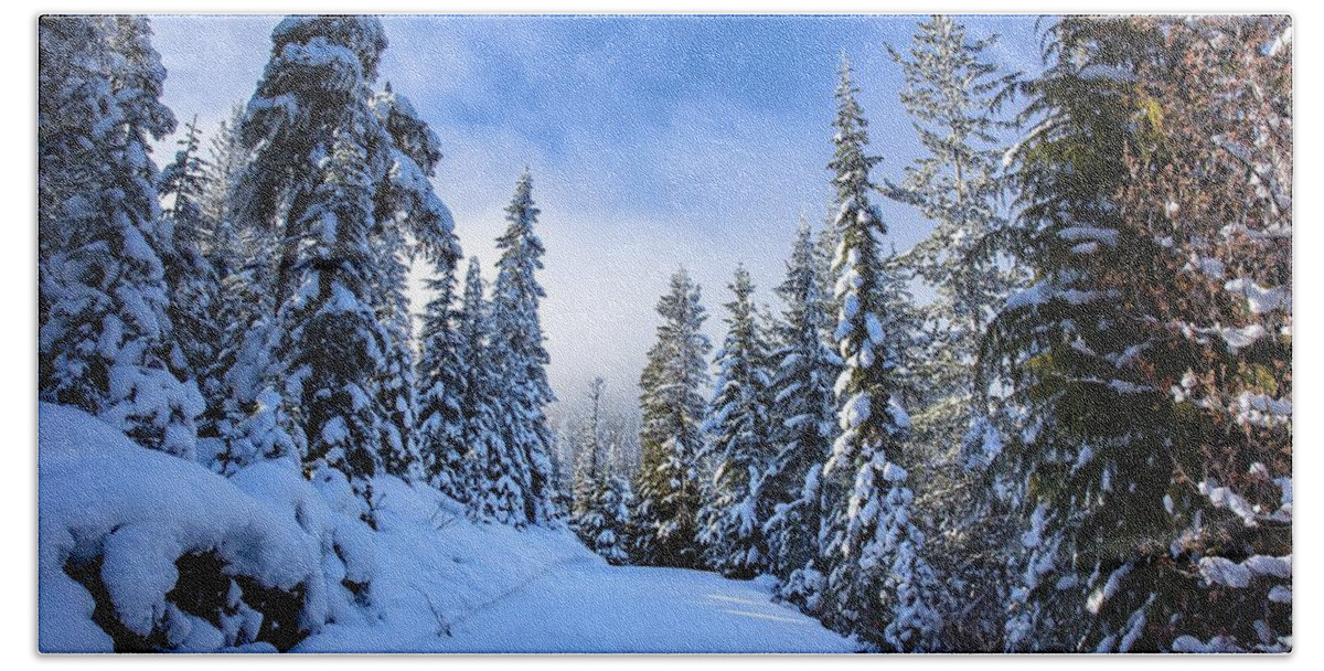 Wintertime Hand Towel featuring the photograph Wintertime by Lynn Hopwood