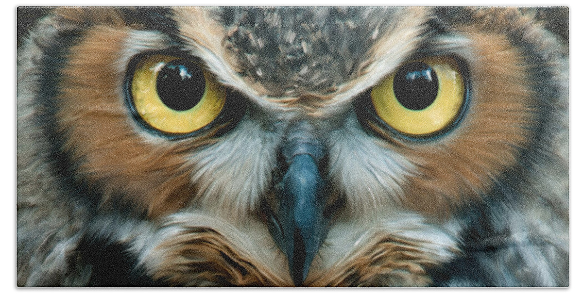 Owls Bath Towel featuring the mixed media Night Owl, Wisdom by Mark Tonelli
