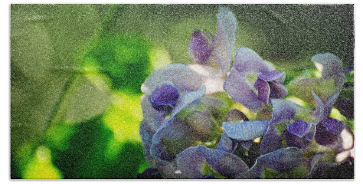 American Hand Towel featuring the photograph Wisteria frutescens Amethyst Falls by Rebecca Sherman