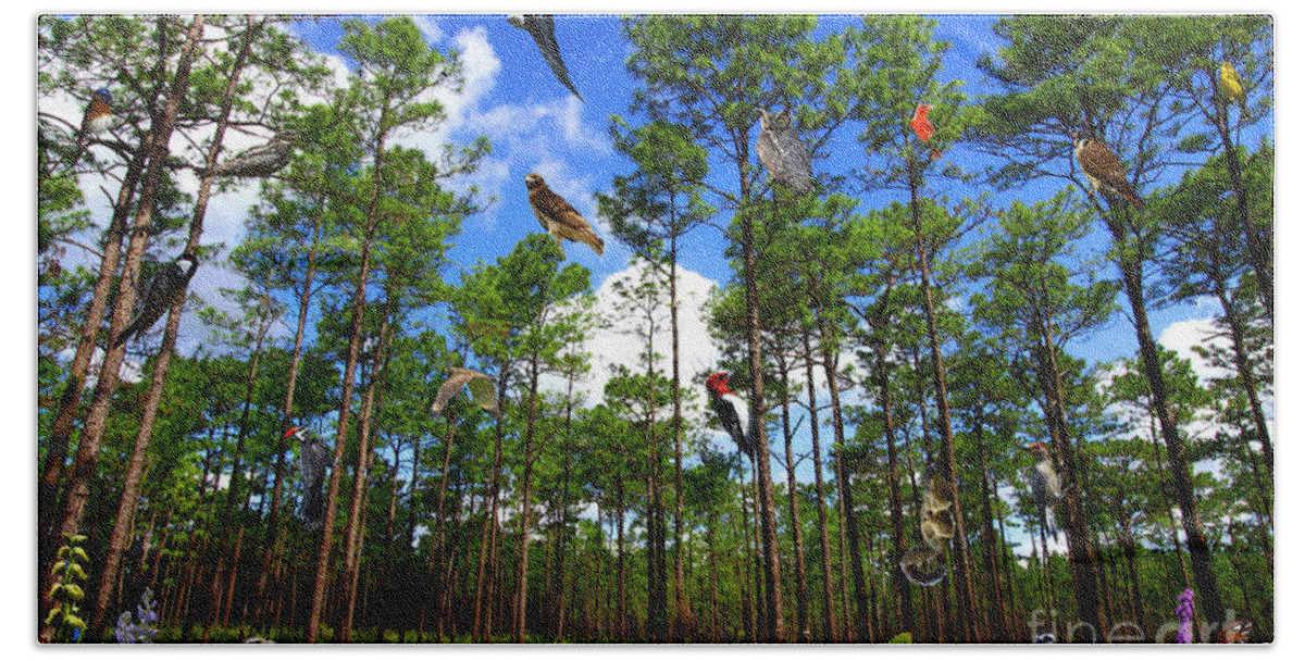 Withlacoochee State Forest Bath Towel featuring the photograph Withlacoochee State Forest Nature Collage by Barbara Bowen