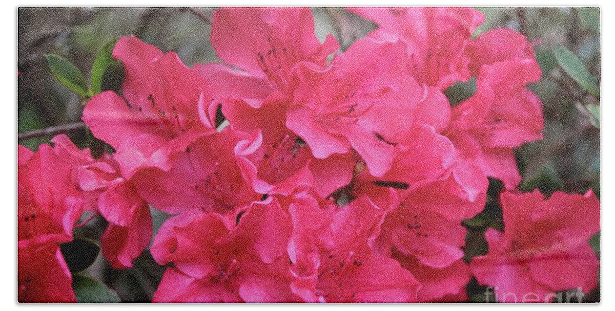 Pink Azaleas Bath Towel featuring the photograph Wonderful Azaleas by Carol Groenen