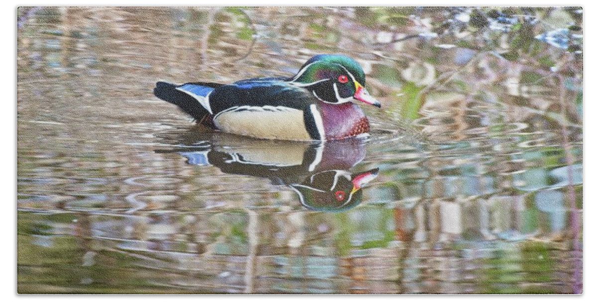 Wood Duck Bath Towel featuring the photograph Wood Drake by Allan Van Gasbeck
