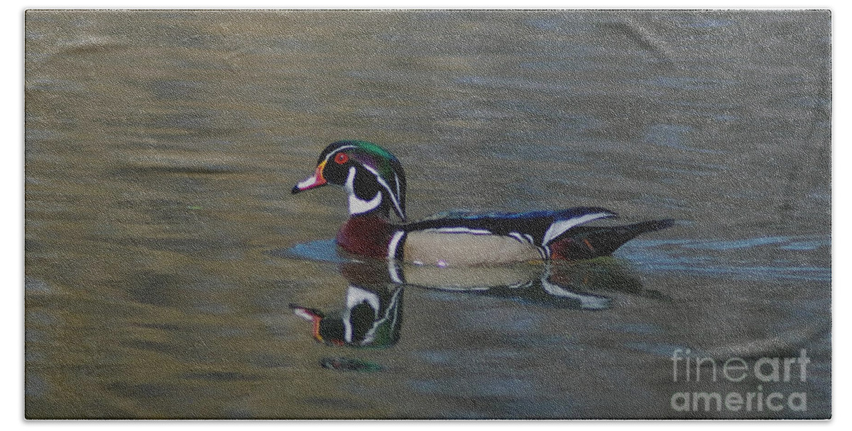 Duck Bath Towel featuring the photograph Wood Duck - Male by Ronald Grogan