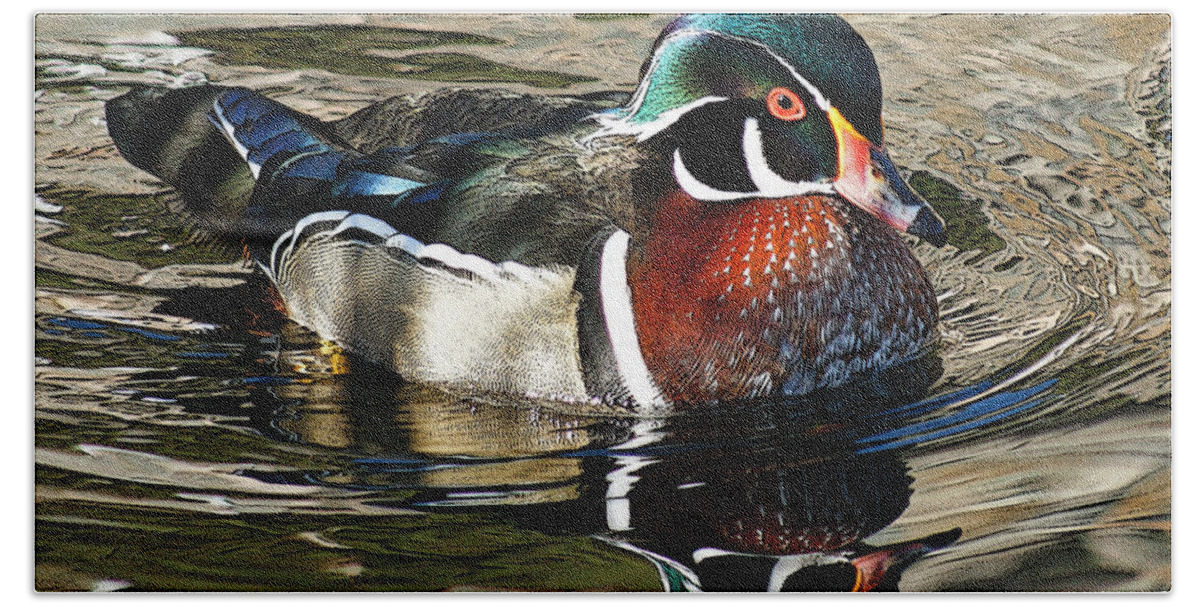 Animals Bath Towel featuring the photograph Wood Duck 1 by Ernest Echols