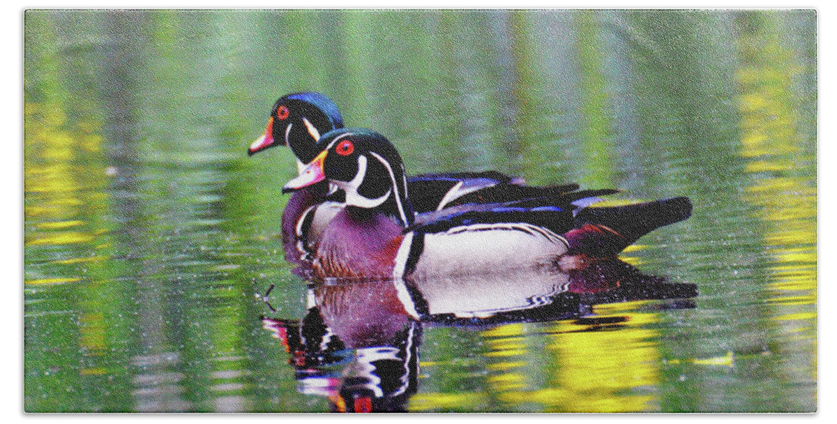 Wood Duck Bath Towel featuring the photograph Wood Duck Bookends by Kathy Kelly