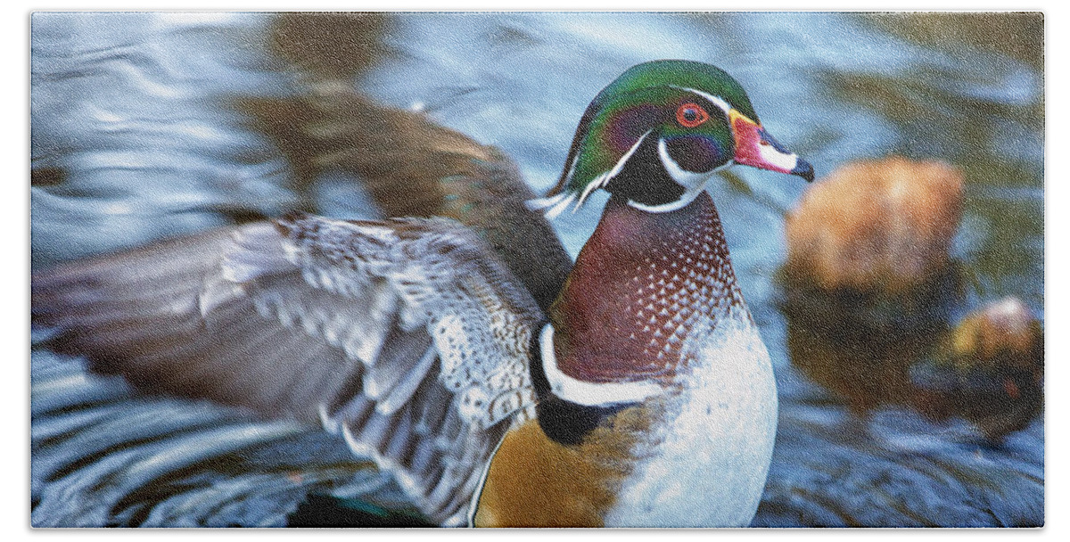 Wildlife Hand Towel featuring the photograph Wood Duck Flap by Bill and Linda Tiepelman