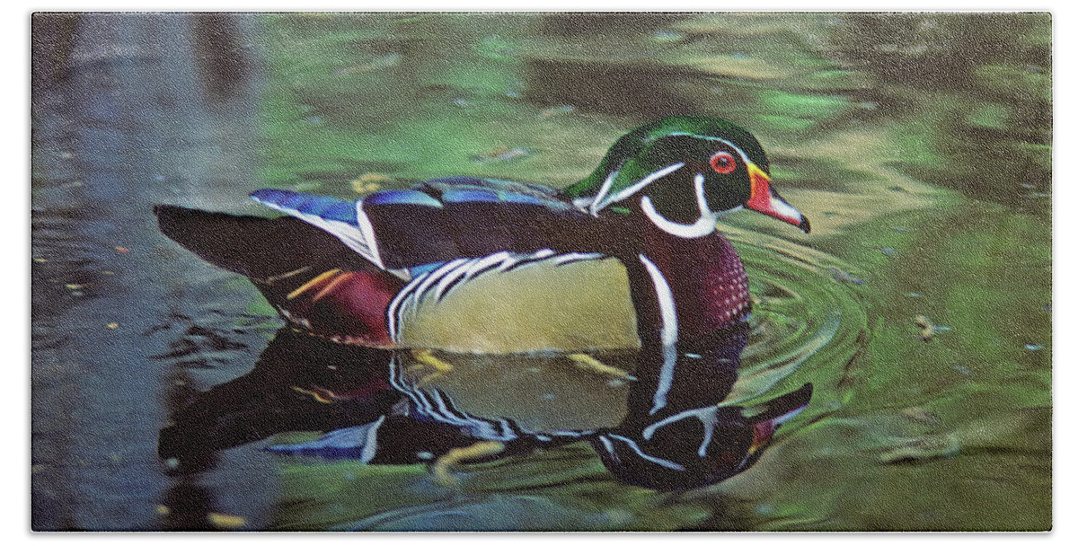 Wood Duck Hand Towel featuring the photograph Wood Duck by Marie Hicks