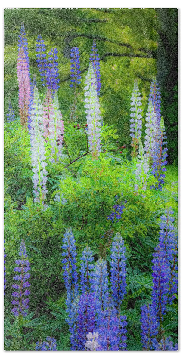 Lupines Bath Towel featuring the photograph Woodland Fantasy by Jeff Cooper
