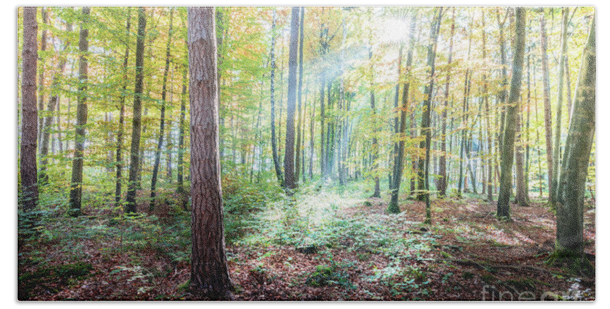 Autumn Bath Towel featuring the photograph Woodland In Fall by Hannes Cmarits