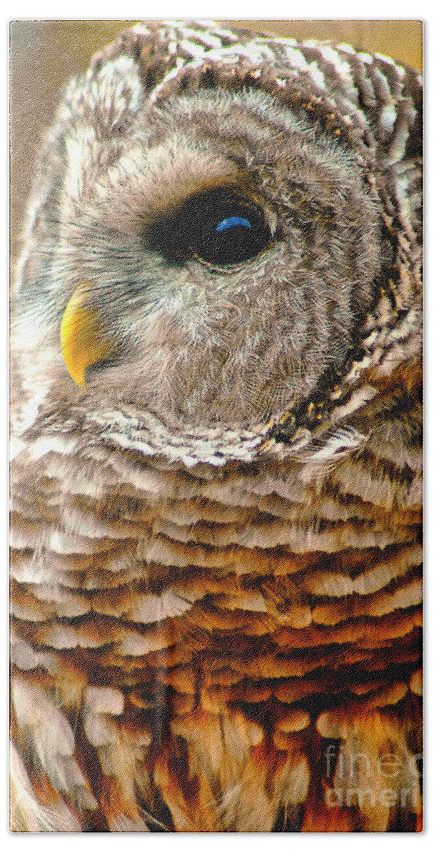 Woodland Owl Hand Towel featuring the photograph Woodland Owl by Adam Olsen