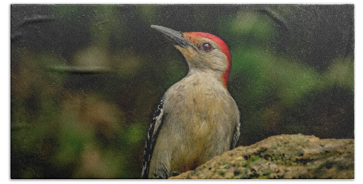 Woodpecker Hand Towel featuring the photograph Woodpecker Rock by Ray Congrove