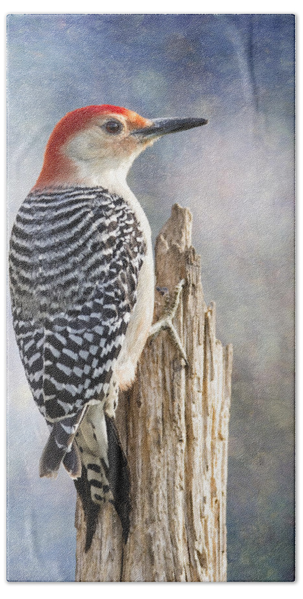 Red-bellied Woodpecker Bath Towel featuring the photograph Woody Climbing Pastel Bokeh by Bill and Linda Tiepelman