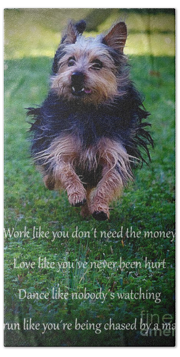 Dog Hand Towel featuring the photograph Words to Live By by Clare Bevan