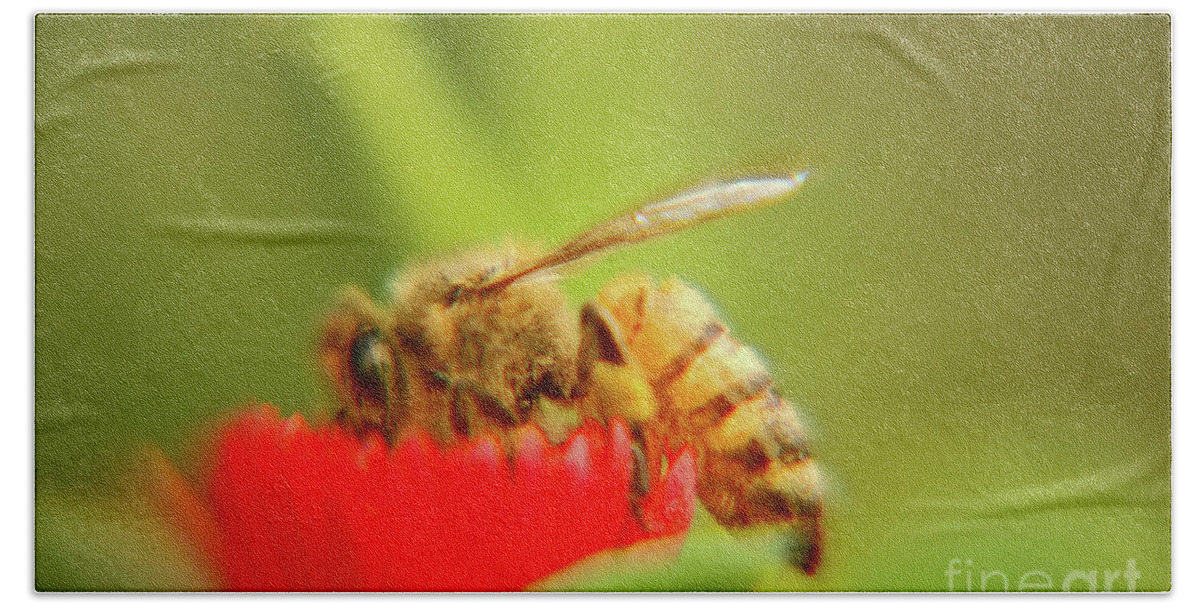 Macro Bath Towel featuring the photograph Worker bee by Micah May
