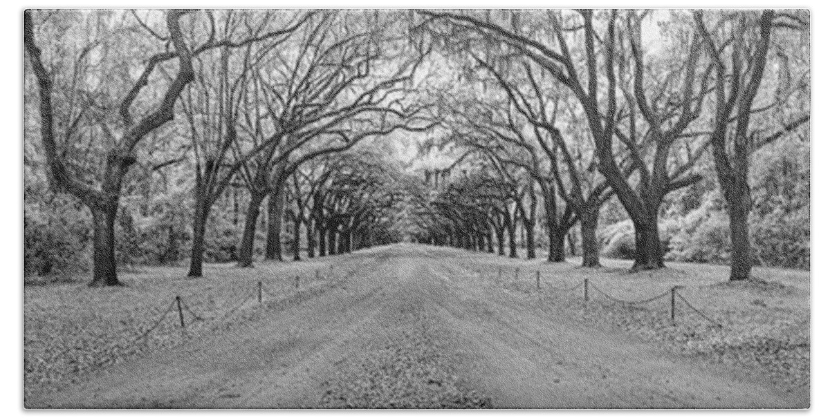 Art Bath Towel featuring the photograph Wormsloe Pathway by Jon Glaser