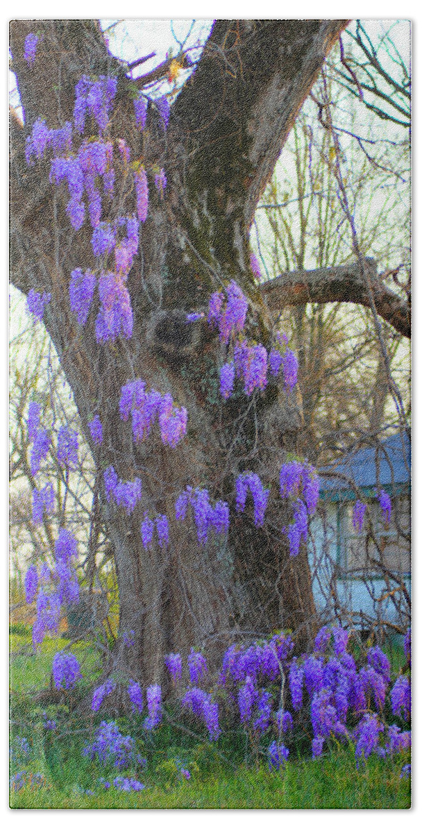 Wysteria Bath Towel featuring the photograph Wysteria Tree by Karen Wagner