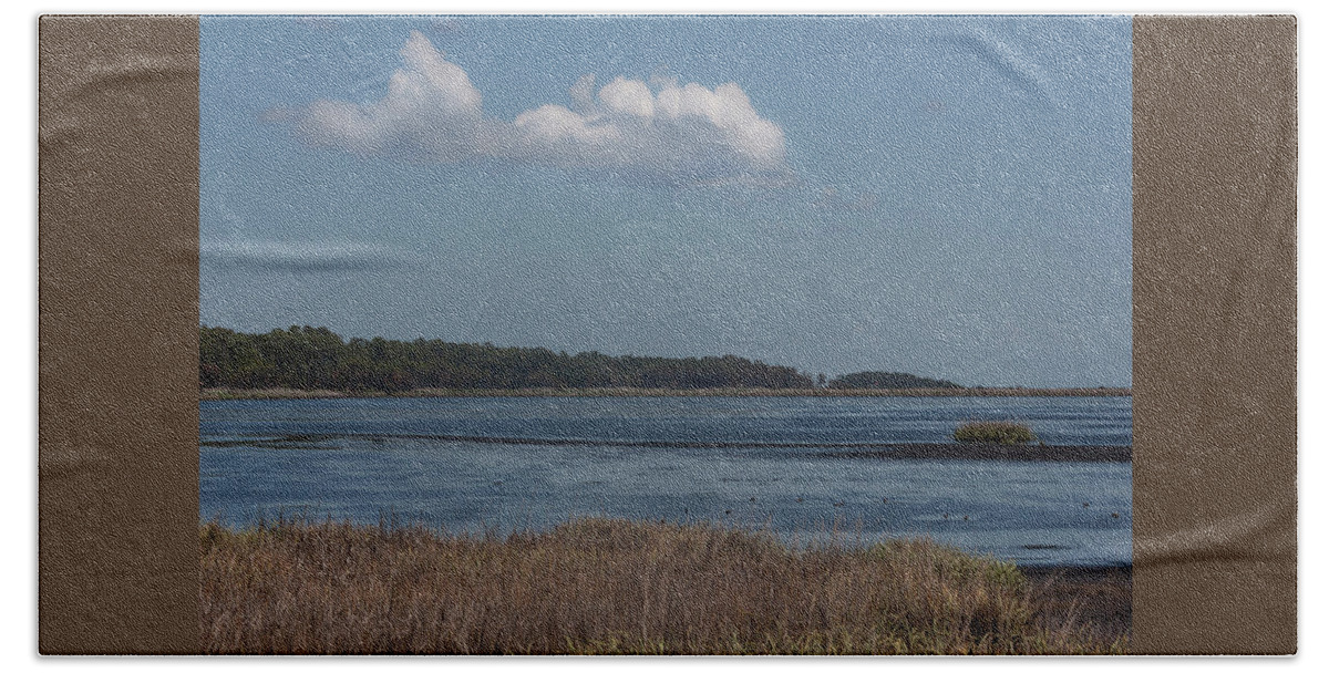Photograph Bath Towel featuring the photograph Yawkey Wildlife Reguge - View from the Causeway by Suzanne Gaff