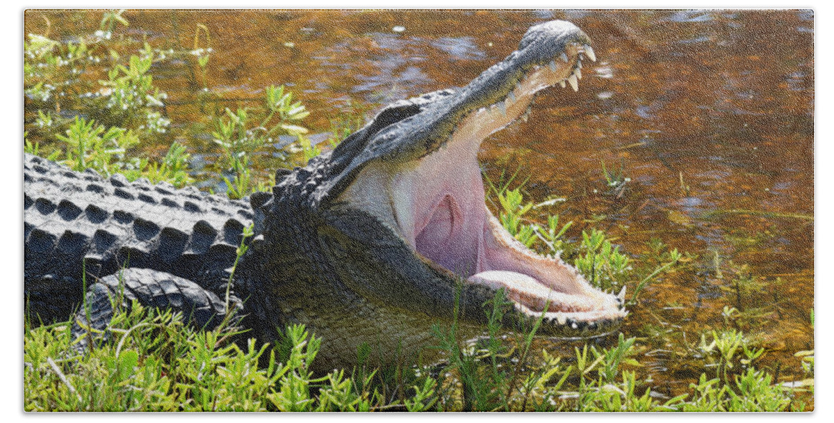 Alligator Bath Towel featuring the photograph Yawning by Jim Bennight