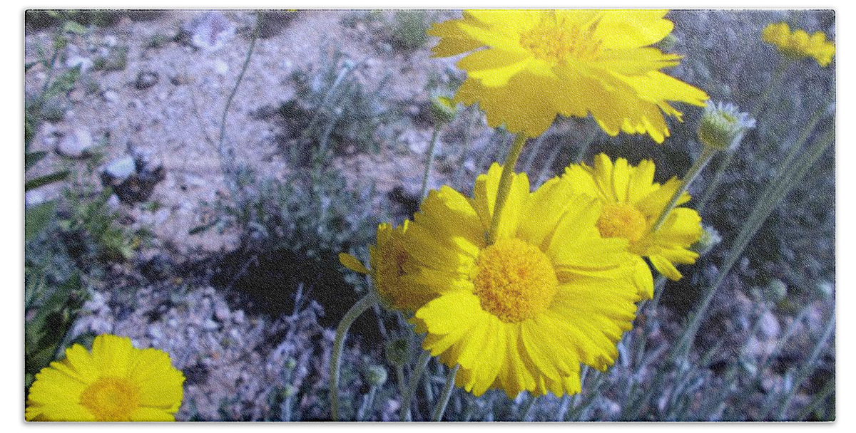 Desert Marigolds Bath Towel featuring the photograph Yellow Beauty by Jerry Bokowski