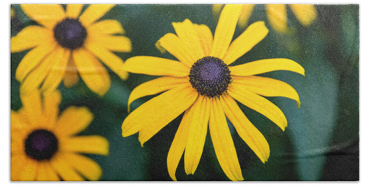  Hand Towel featuring the photograph Yellow Daisy by David Downs