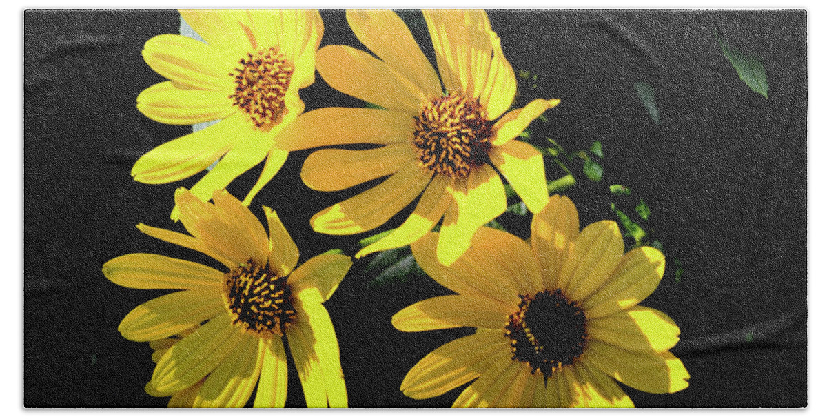 Nature Hand Towel featuring the photograph Yellow Dasies by Bradley Dever
