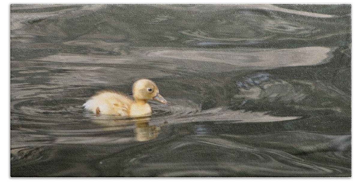 Yellow Bird Bath Towel featuring the photograph Yellow Duckling by Kristina Deane