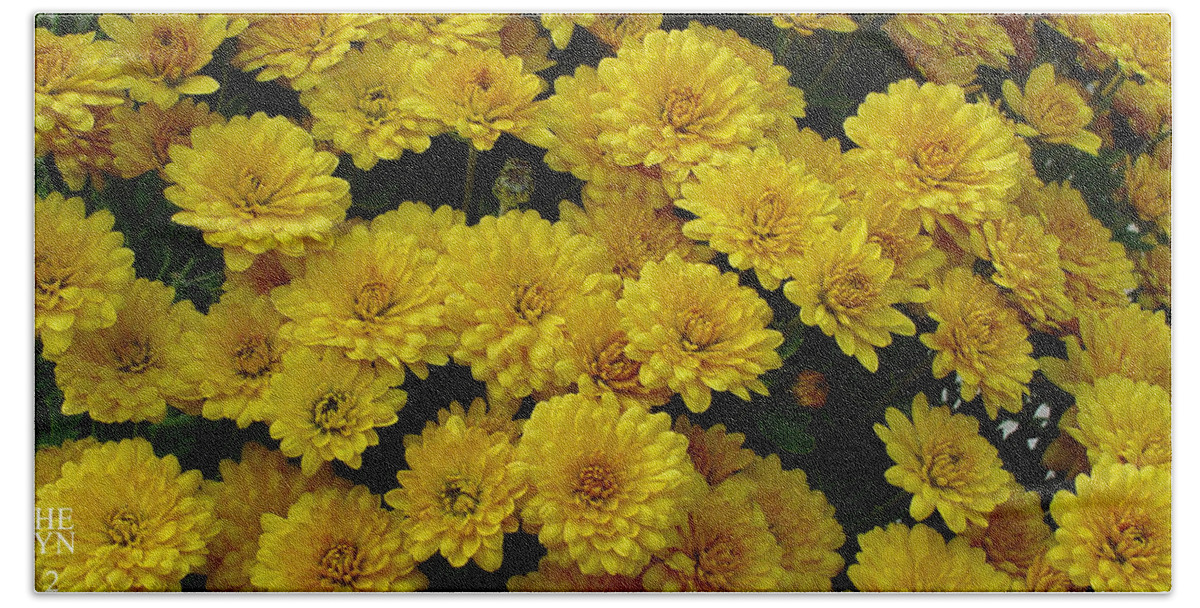 Yellow Bath Towel featuring the photograph Yellow Fall by Shirley Heyn