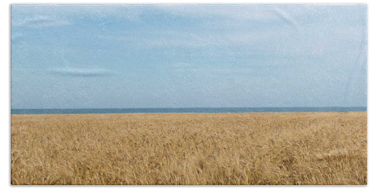 Background Bath Towel featuring the photograph Yellow field, sea and blue sky by Michalakis Ppalis
