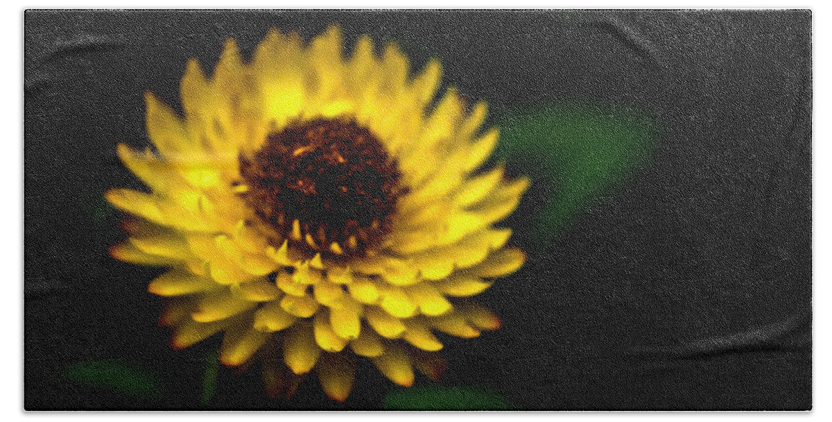 Agriculture Bath Towel featuring the photograph Yellow flower 6 by Jijo George