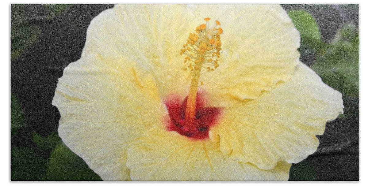 Flower Bath Towel featuring the photograph Yellow Red Hibiscus by Amy Fose